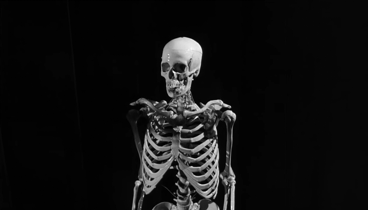 Skeleton
